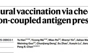 癌症疫苗新突破，北大团队Nature发文
