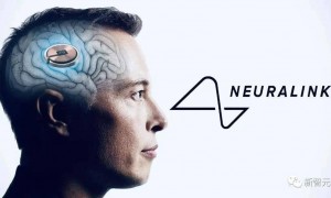 狂掀涨停潮！2026年，跟着马斯克炒股的人赚翻了