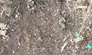 乌军去年伤亡减少13%，19名俄军将军死亡，1名俄军“英雄”的故事