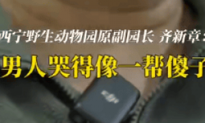 “一群男人哭得像傻子！”雪豹“凌寒”脑梗复发死亡，原副园长：心脏停跳40分钟，没有一个人停下放弃