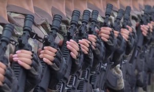 揭秘阅兵装备：191式步枪为何成为阅兵选定的枪