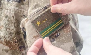 今天起，我军四大战略兵种正式启用兵种军旗臂章